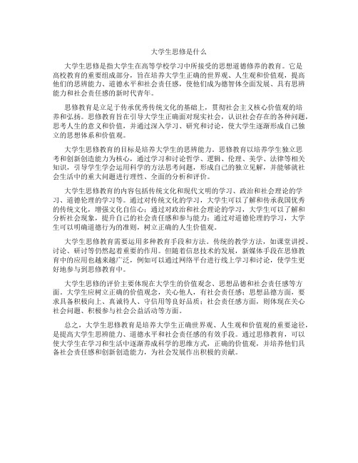 大学生思修是什么