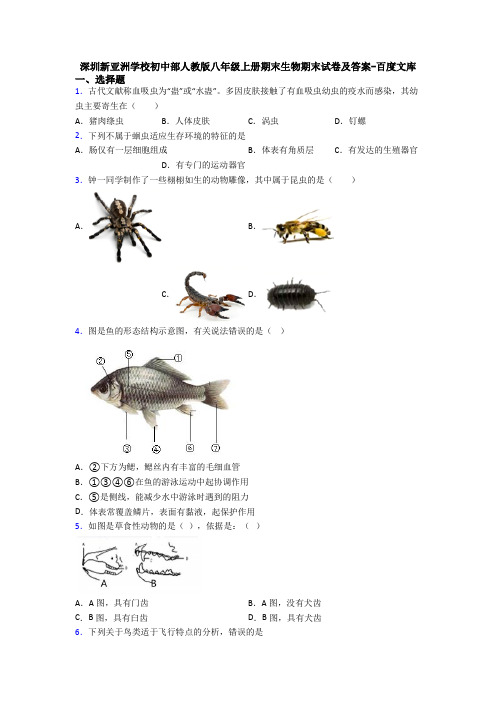 深圳新亚洲学校初中部人教版八年级上册期末生物期末试卷及答案-百度文库