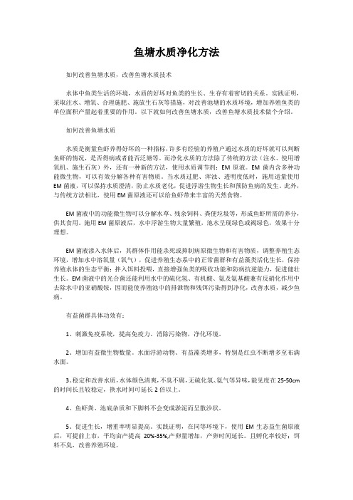 鱼塘水质净化方法