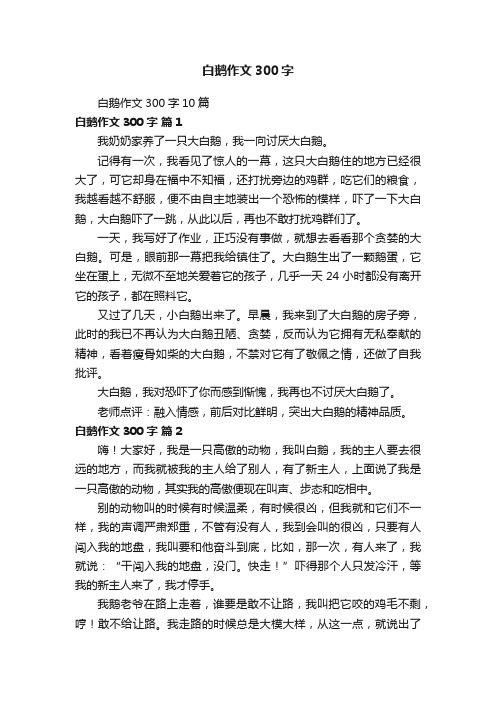 白鹅作文300字10篇