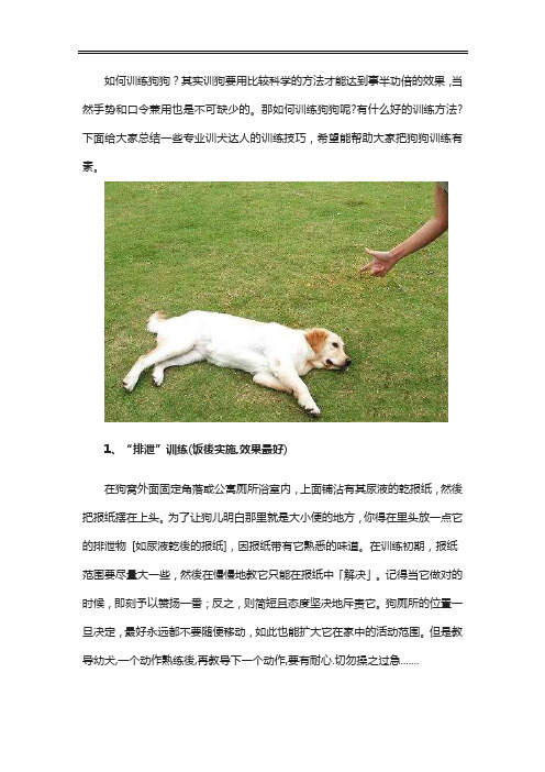 训犬专业人士教你如何训练狗狗