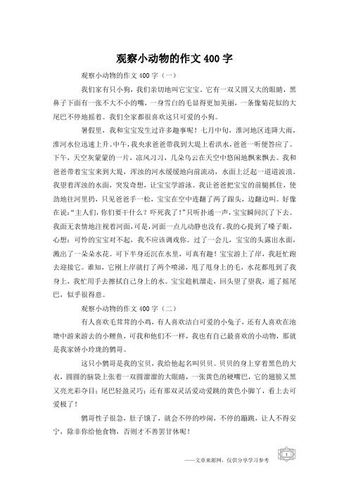 观察小动物的作文400字