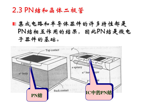 第2章_2_PN结