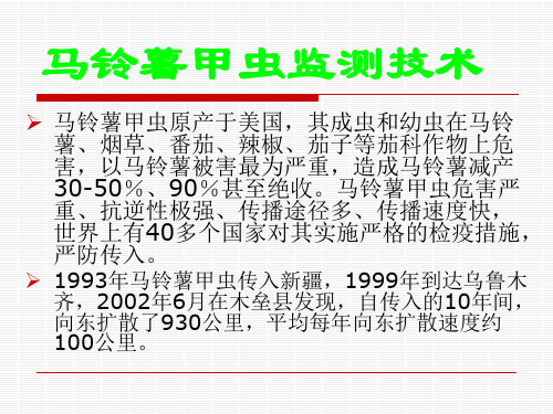 马铃薯甲虫监测技术