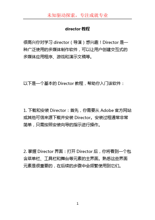 director教程