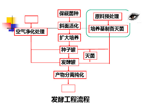 发酵工程第三章发酵工业原料与其处理