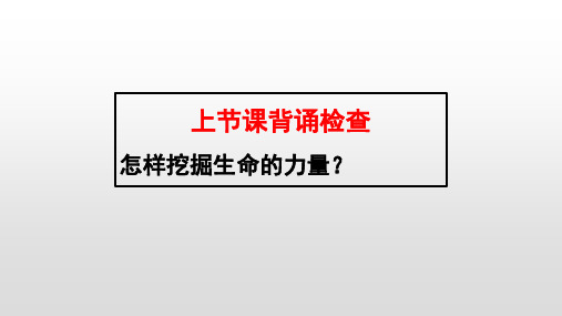 感受生命的意义部编版课件PPT道德与法治课件2