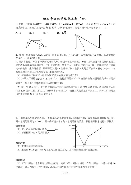 北师大版数学八下培优4(优选.)