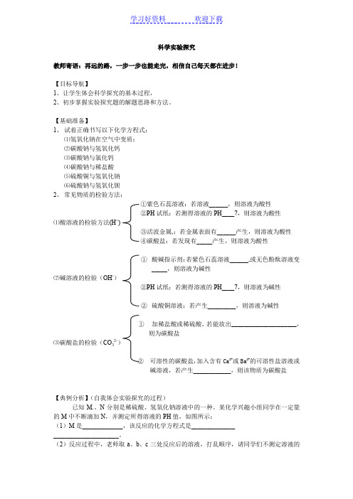 初三化学专题复习科学探究 