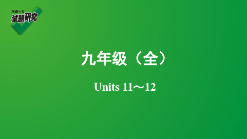 九年级(全)Unis11-12