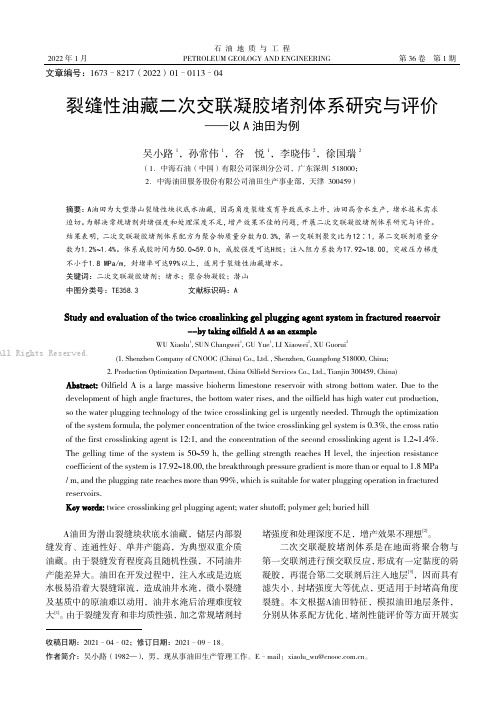 裂缝性油藏二次交联凝胶堵剂体系研究与评价——以A油田为例