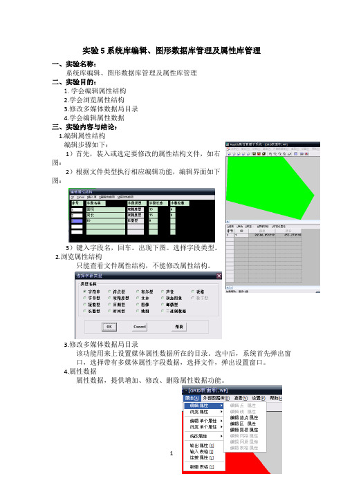 mapgis实验5系统库编辑、图形数据库管理及属性库管理