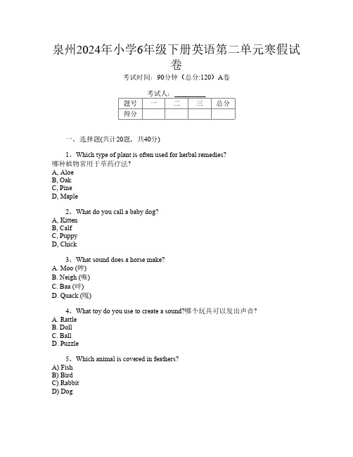 泉州2024年小学6年级下册O卷英语第二单元寒假试卷