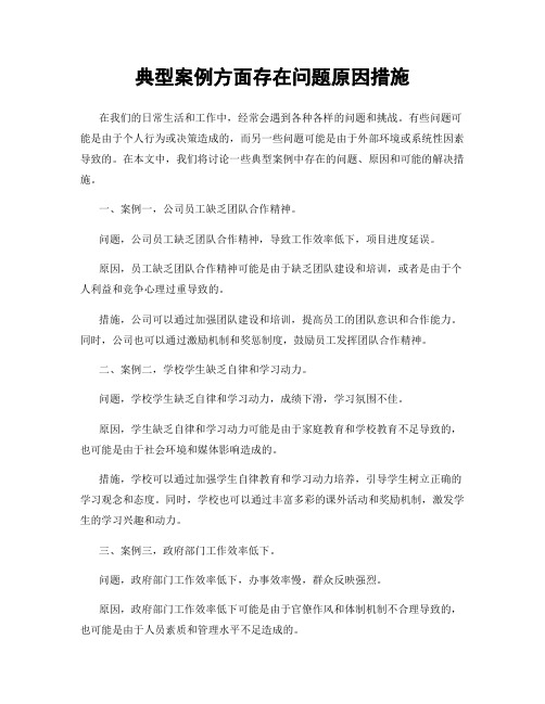 典型案例方面存在问题原因措施