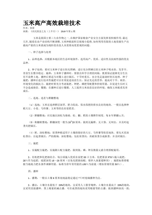 玉米高产高效栽培技术