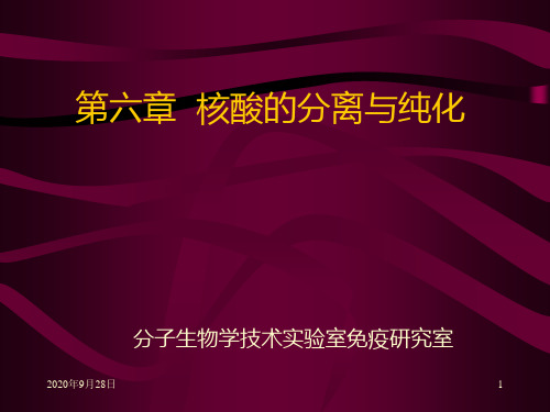 6核酸的分离与纯化剖析PPT课件