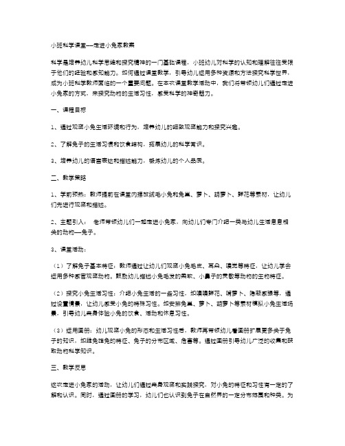 小班科学课堂——走进小兔家教案