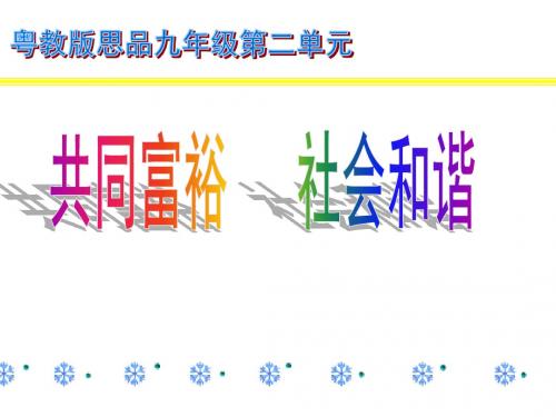 粤教版九年级政治课件2.1逐步实现共同富裕 (共36张PPT)