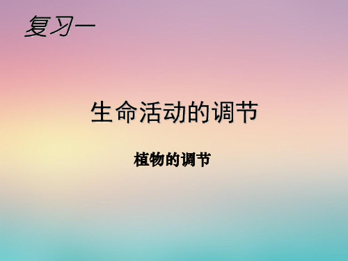 【原创】高考生物第一轮复习复习3-1：生命活动的调节-植物