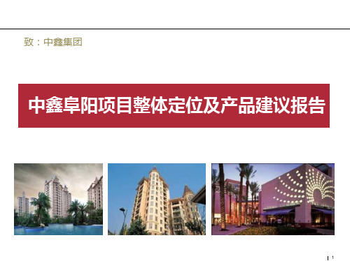 中鑫阜阳项目整体定位及产品建议报告