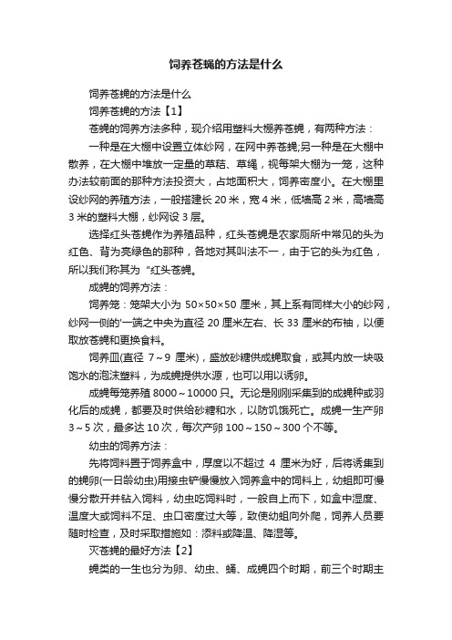 饲养苍蝇的方法是什么