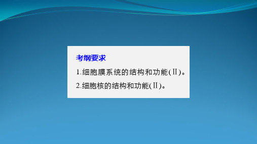 2018版步步高高考生物(人教版全国通用)大一轮复习讲义(课件)第二单元细胞基本结构和物质运输第5讲