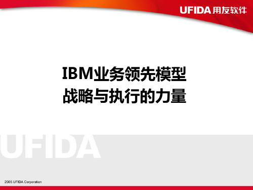 IBM业务领先模型