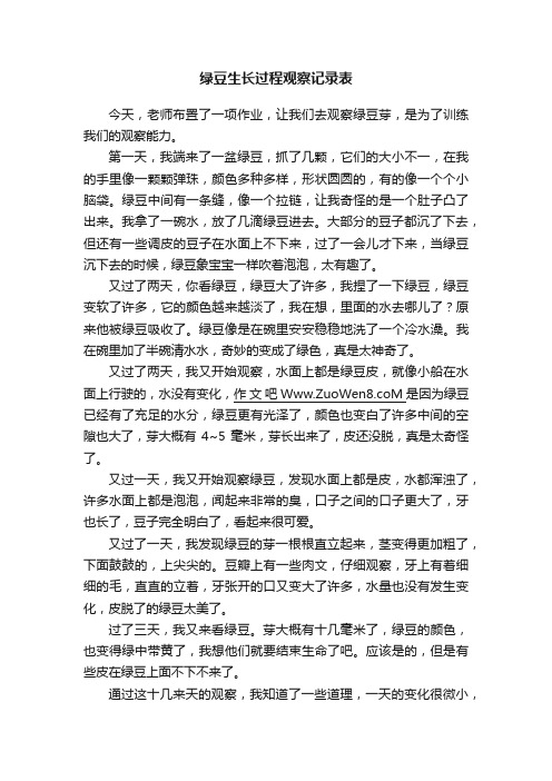 绿豆生长过程观察记录表