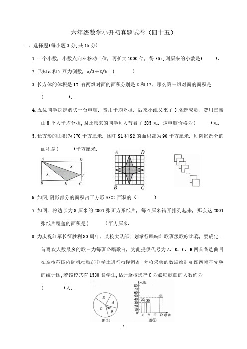 六年级数学小升初试卷及答案 (45)