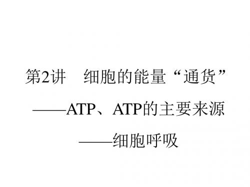 高三生物一轮复习第5章细胞的能量供应和利用5.2细胞的