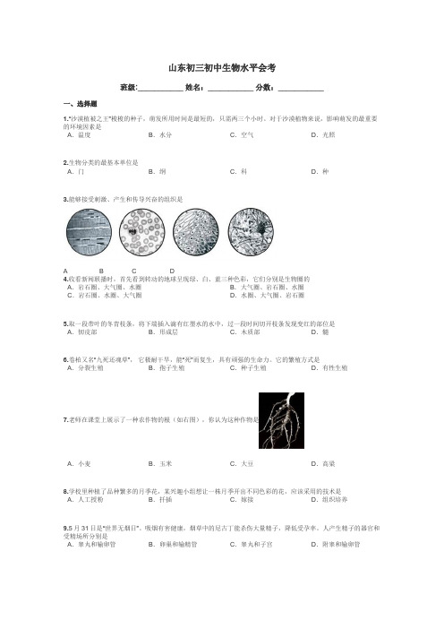 山东初三初中生物水平会考带答案解析
