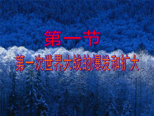 第一次世界大战的爆发和扩大ppt课件
