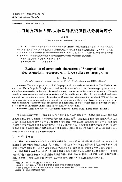 上海地方稻种大穗、大粒型种质资源性状分析与评价