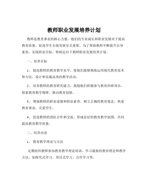 教师职业发展培养计划