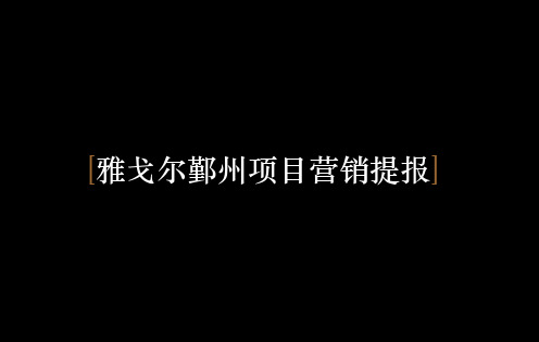 宁波鄞州雅戈尔玺园项目营销策略提报_234PPT