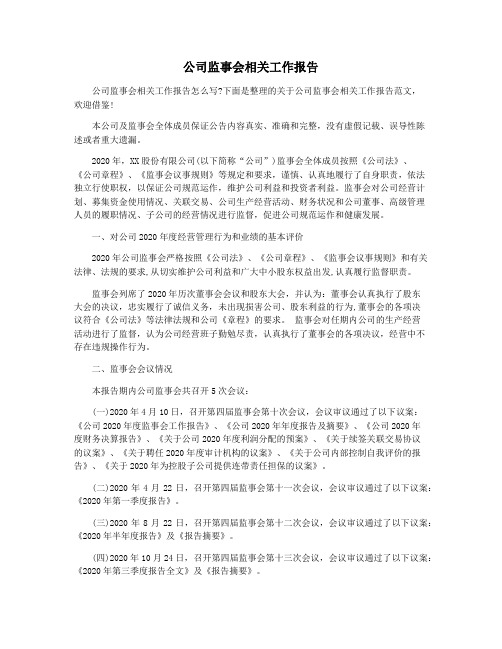 公司监事会相关工作报告