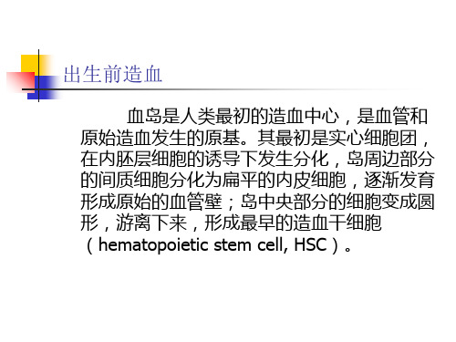 检验科讲座精品PPT课件