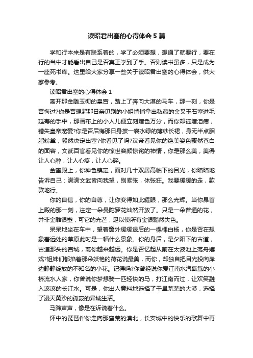 读昭君出塞的心得体会5篇