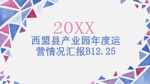 西盟县产业园年度运营情况汇报_实用模板