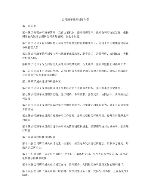 公司班子管理制度全套