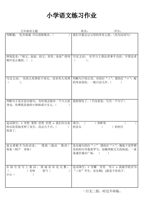 小学五年级语文精题选做III (10)