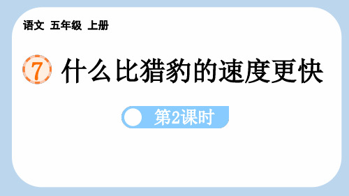 最新部编人教版语文五年级上册《什么比猎豹的速度更快(第2课时)》精品教学课件