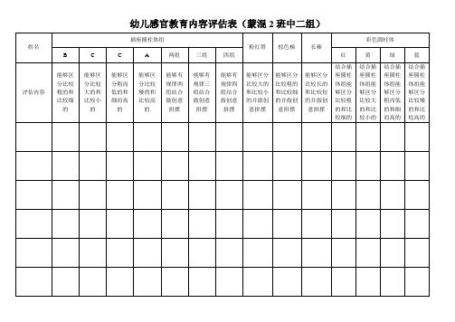 中2组幼儿感官评估表