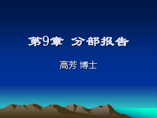 9-分部报告