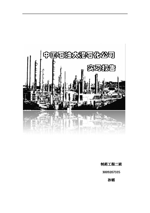 大港石化  实习报告汇总