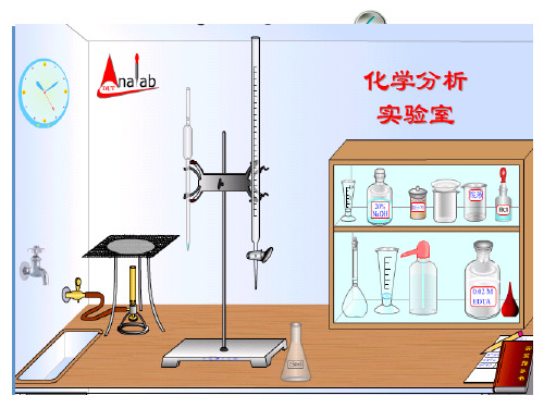 分析化学-第二章-滴定分析法概述