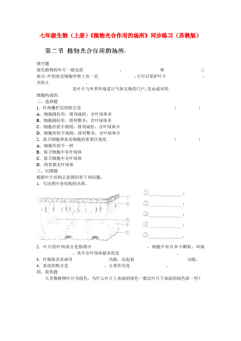 苏教版生物-七年级上册-同步练习 《植物光合作用的场所》