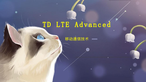 TD LTE Advanced