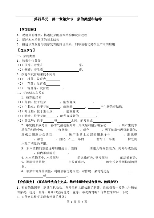 芽的类型和结构