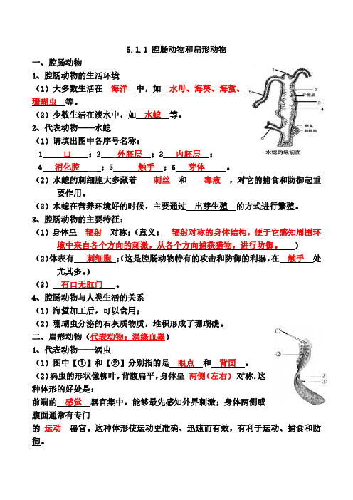 无脊椎动物八年级生物上学期同步知识清单(人教版)(解析版)0